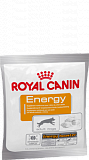 ROYAL CANIN ENERGY ДОПОЛНИТЕЛЬНАЯ ЭНЕРГИЯ ДЛЯ ВЗРОСЛЫХ СОБАК 